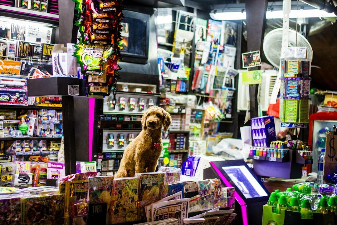 Demo cashback centro commerciale categoria Animali — CashbackCCN
